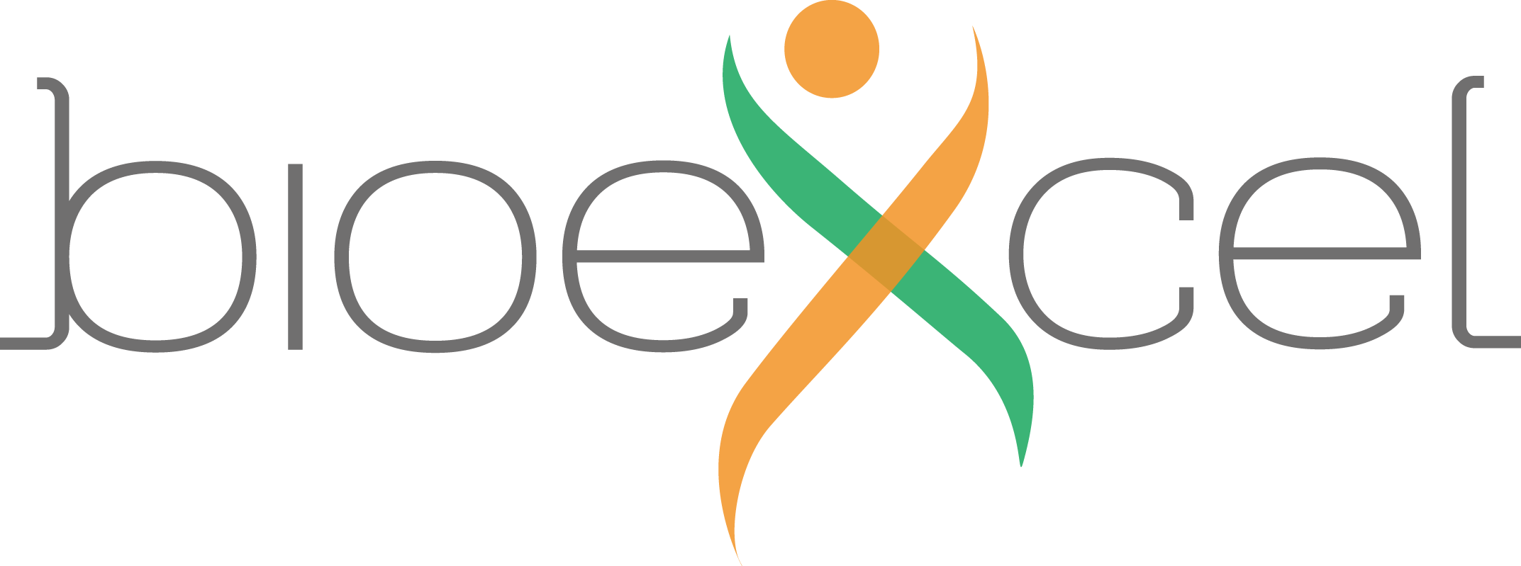 H2020 BioExcel Center of Excellence for Computational Biomolecular Research